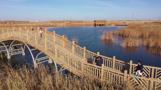 湿地公园景观桥拍照游客