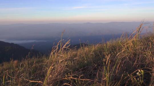 山上的晨景金色的草原和清晨的阳光