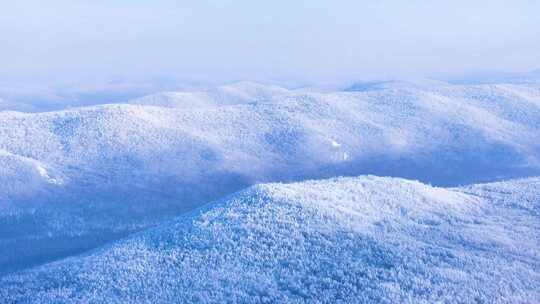 航拍林海雪原雾凇美景241231-4