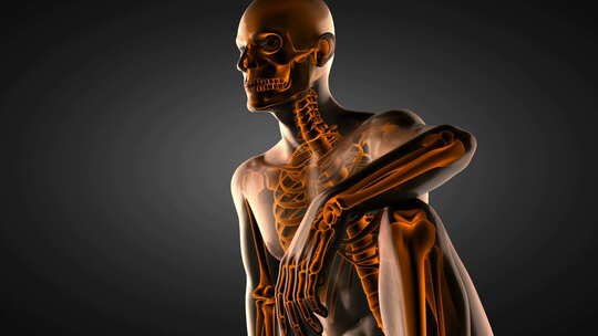 人体骨骼X线扫描