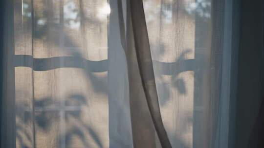 室内窗前透光的轻薄窗帘