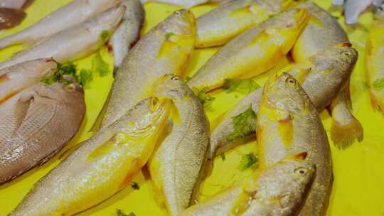 4K高清 鲜活 海鲜市场里的大黄鱼