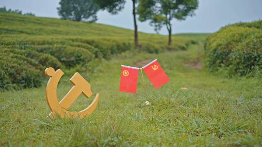 4k实拍户外中国党旗