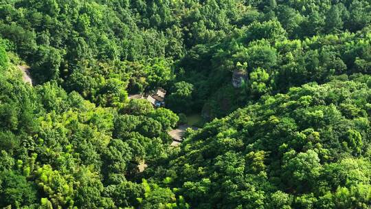 新昌大佛寺景区