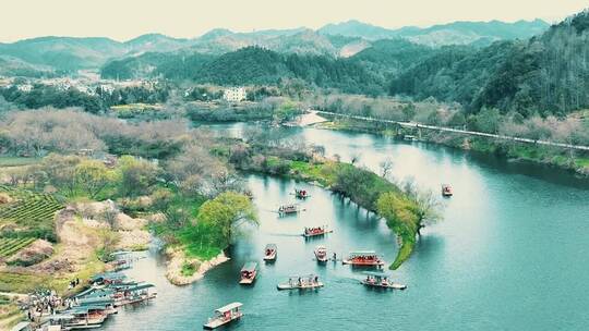 自然风光，森林，治愈系风景，摄影，意境