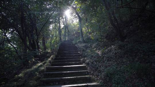 杭州玉皇山景区紫来洞