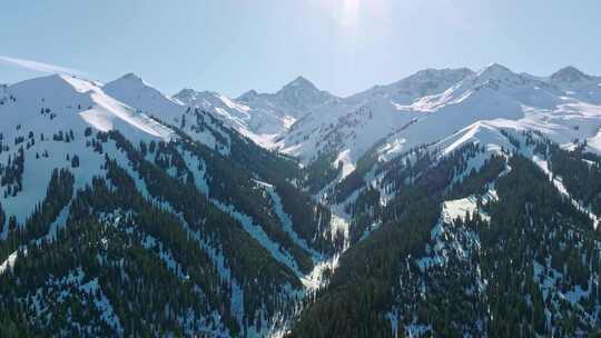 新疆冬季森林雪山