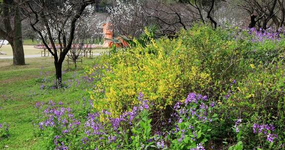 春天苏州上方山公园鲜花盛开