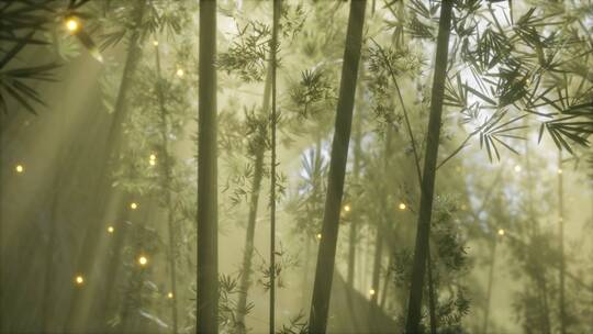 竹林与晨雾天气 萤火虫飞舞