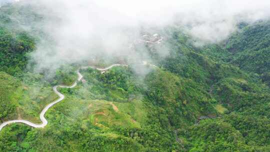 山地弯道沿山坡和丘陵覆盖着绿色的森林和