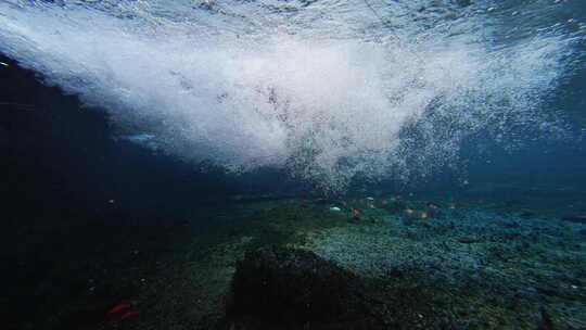 济南黑虎泉锦鲤水下世界