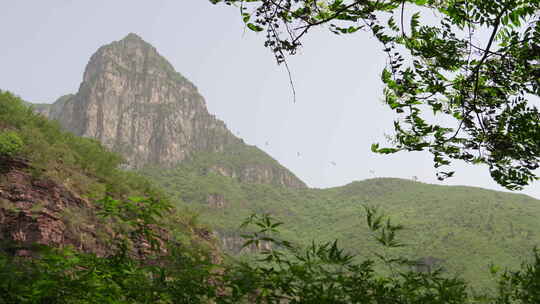 河南焦作云台山红石峡瀑布茱萸峰夏天