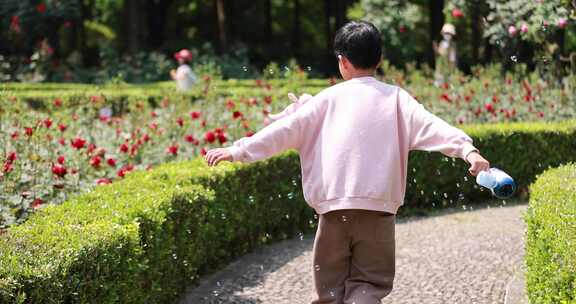 杭州花圃迎亚运月季花展 男孩赏花唯美慢镜