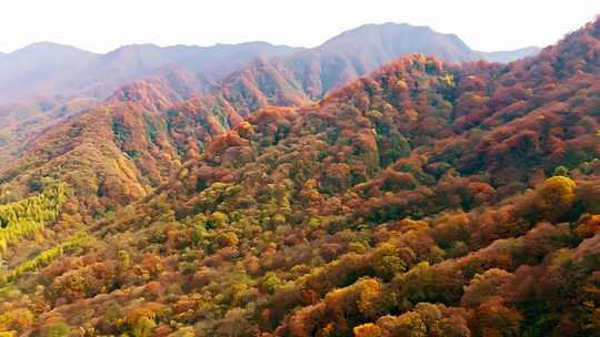 光雾山秋季