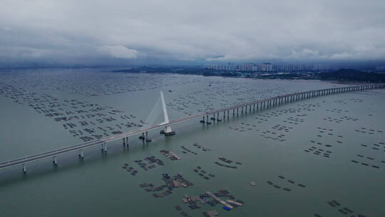4k航拍深圳湾大桥