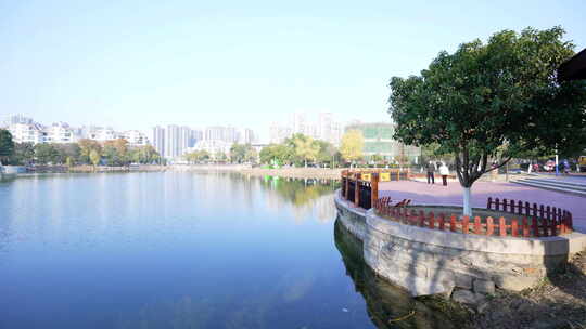 武汉东西湖常青花园中心公园风景