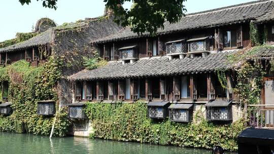 乌镇水乡小桥流水乌篷船名胜风景区