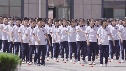 学校的美好 校园 中小学生 学习 生活 娱乐