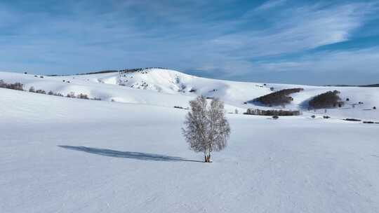 唯美雪原美景 水墨丹青画卷