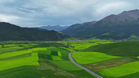 祁连山脉卓尔山油菜花田航拍