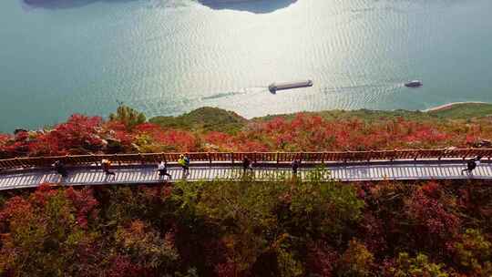 长江三峡巫峡红叶