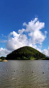 台山红树林湿地公园-延时风光-竖屏