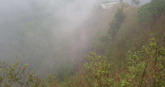 湖南万佛山林间小道