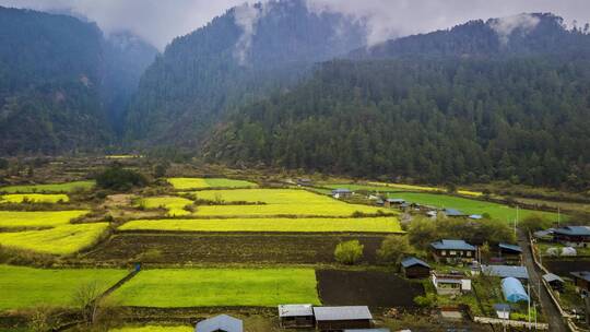 4K延时航拍林芝易贡乡春天美景