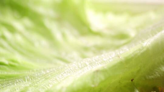 【镜头合集】绿色菜叶蔬菜叶子
