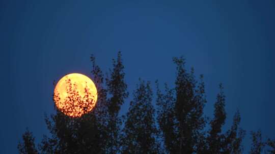 月亮升起 月 中秋明月