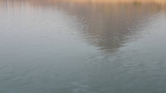 中国山东济南华山湖湿地景区秋冬倒影景观
