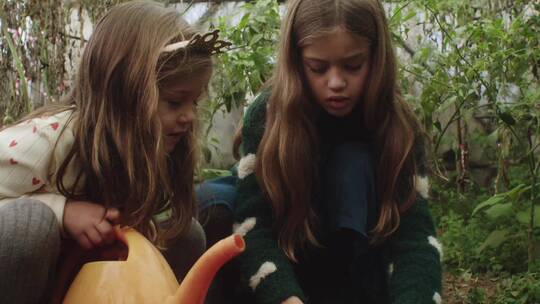 两个小女孩在花园里栽种植物