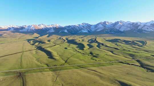 新疆伊犁那拉提空中草原航拍视频素材模板下载