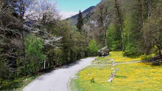 道路，乡村，白雪覆盖，山