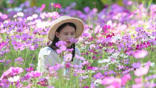 格桑花海中的少女