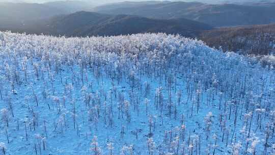 银装素裹的大兴安岭冬季山林