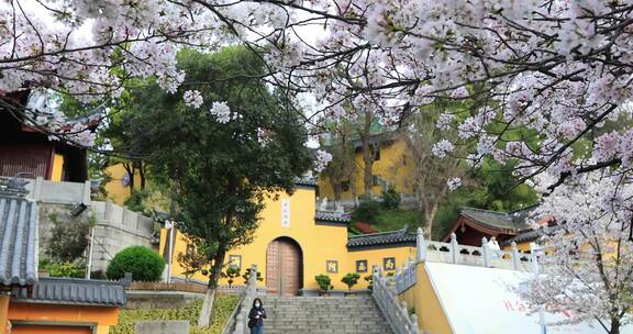 唯美春天南京古城墙鸡鸣寺樱花