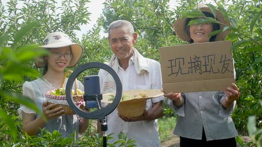 农民丰收视频素材模板下载