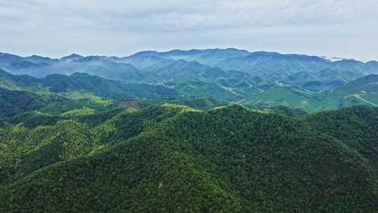 航拍避暑之地浙江湖州莫干山自然风光