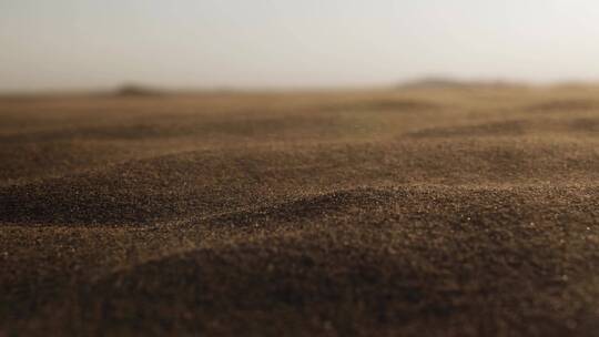 沙漠干燥的沙地