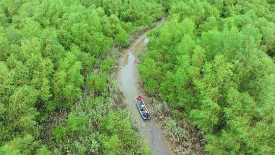 4k广东江门滨海新区银湖湾湿地红树林航拍