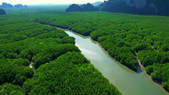 无人机飞越有大片树林的河流视频素材模板下载