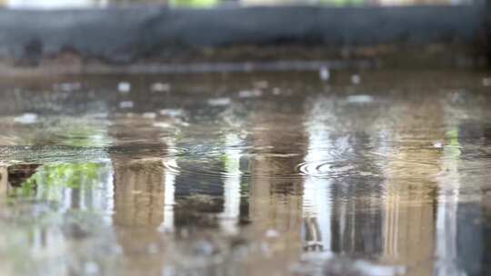 下雨时的水坑。雨季。