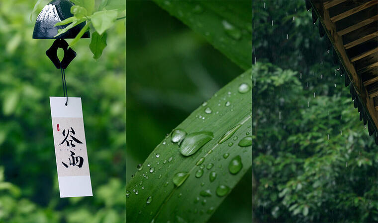 【竖屏】谷雨雨水春雨雨天意境二十四节气