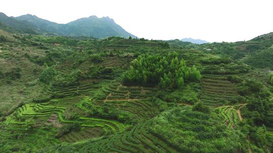 山水风景