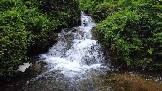 山间小溪水河流水阳光树林视频