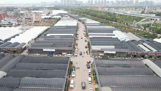 现代农业大棚种植基地航拍