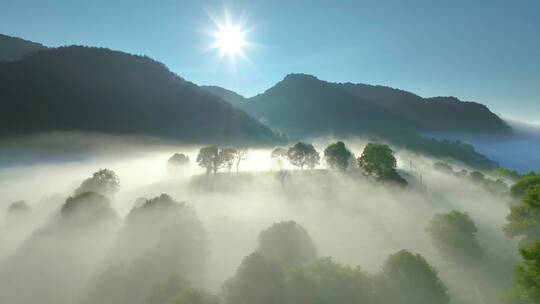 航拍茶山视频素材模板下载