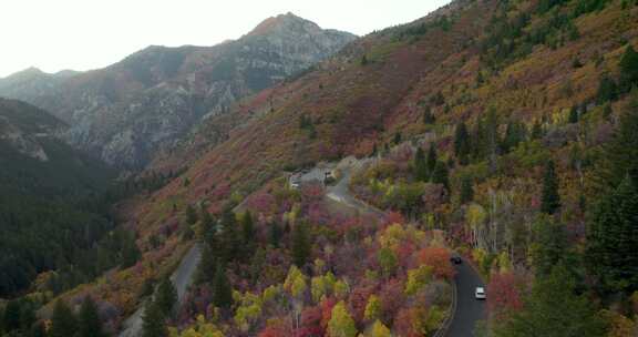 汽车沿着有着令人惊叹的秋叶的山口行驶——犹他州美国叉子峡谷
