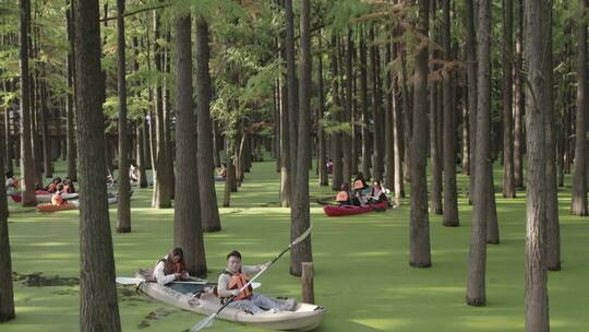 青山湖水上森林 划船